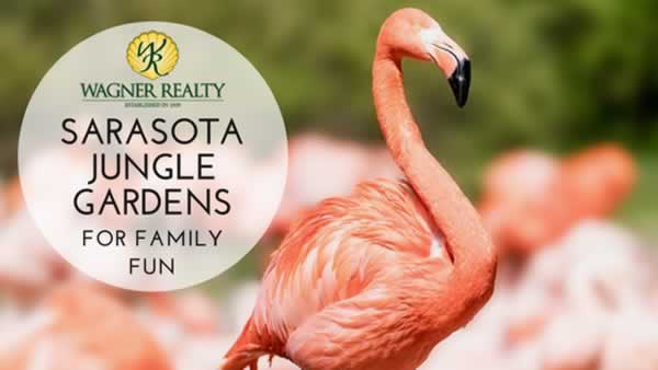 Sarasota Jungle Gardens